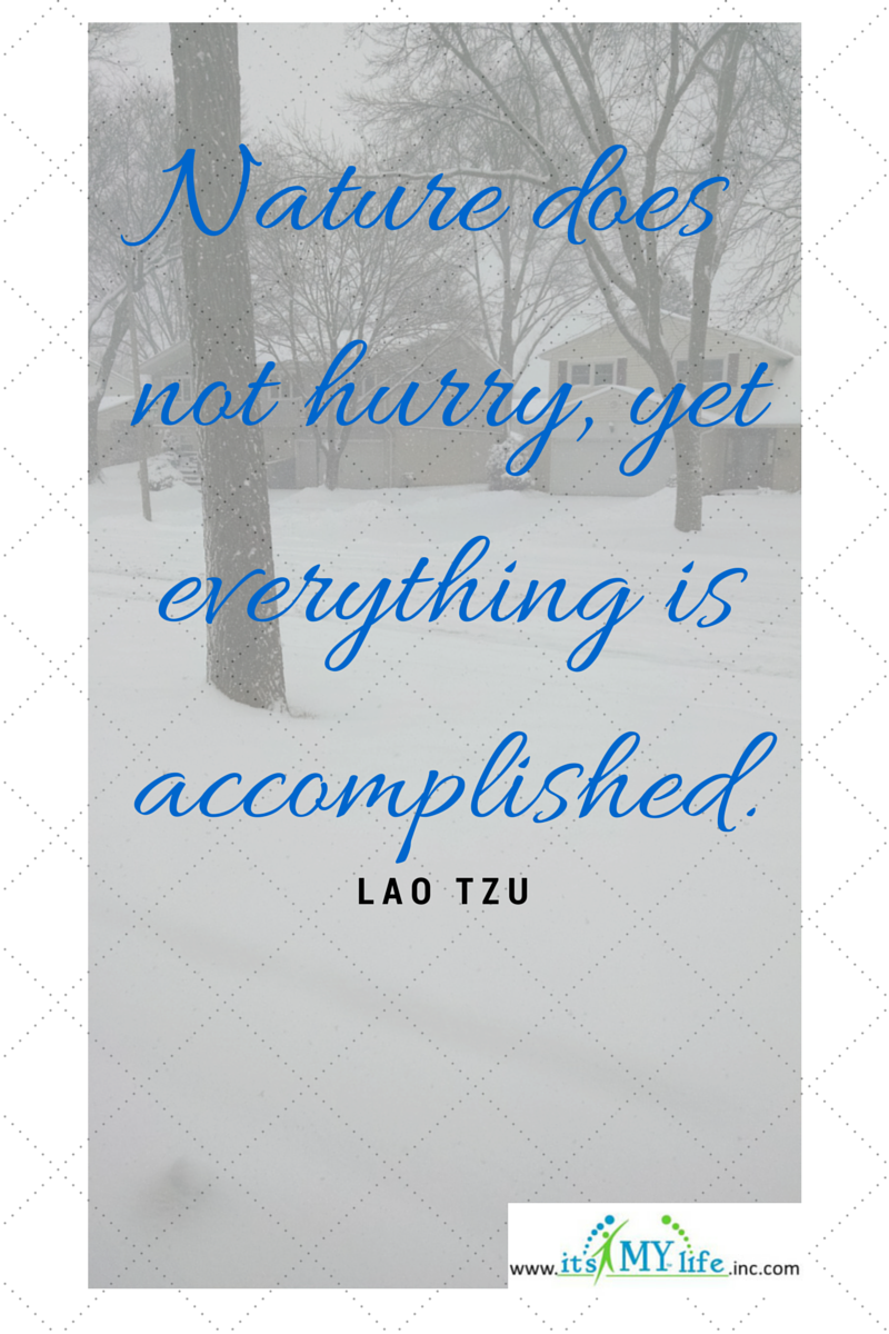 Lao Tzu Quote