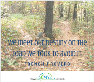 French proverb