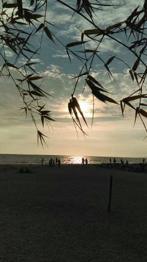 Puerta Vallarta peace