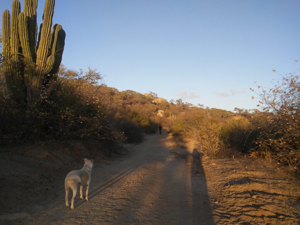 The HOW not the WHAT